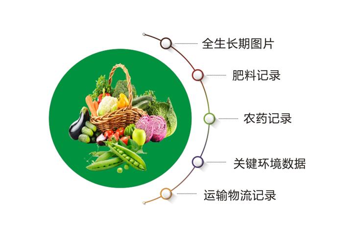蔬菜追溯系統(tǒng)怎么做