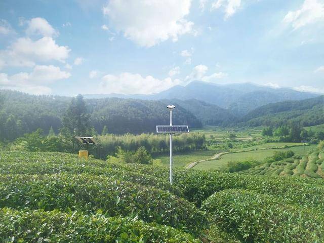 智慧茶園建設(shè)