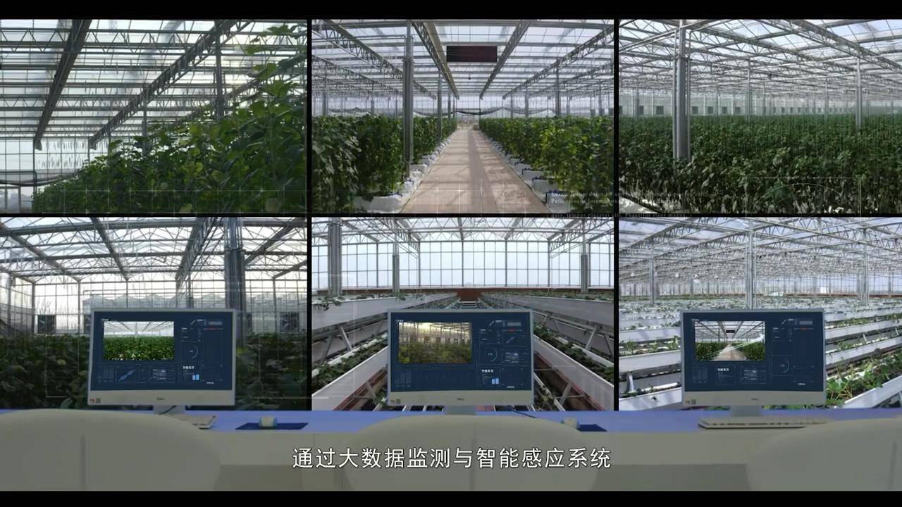 溫室大棚物聯(lián)網(wǎng)系統(tǒng)