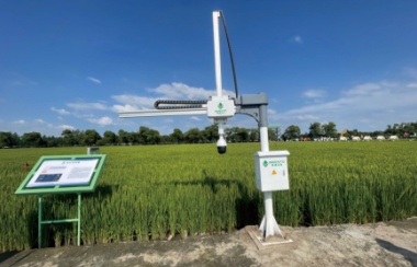 葉齡診斷機(jī)械臂